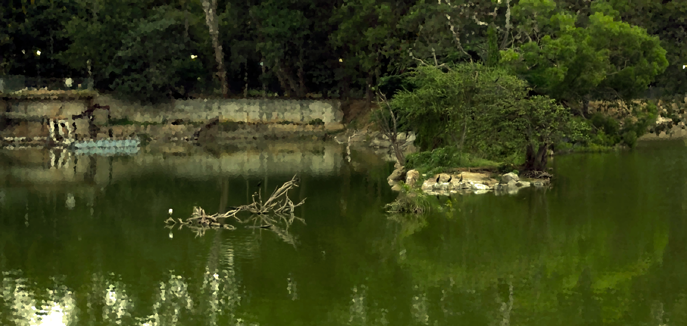 lalbagh